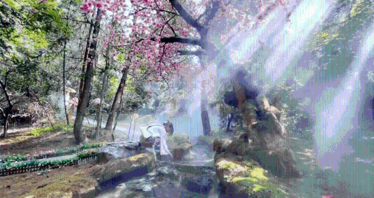 遗失之森